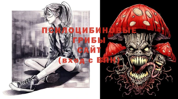 кокс Алексин