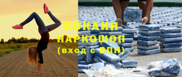 кокс Алексин